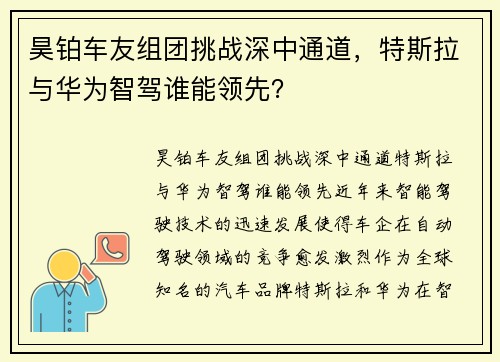 昊铂车友组团挑战深中通道，特斯拉与华为智驾谁能领先？