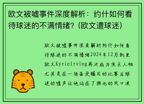 欧文被嘘事件深度解析：约什如何看待球迷的不满情绪？(欧文遭球迷)