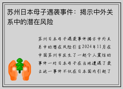苏州日本母子遇袭事件：揭示中外关系中的潜在风险